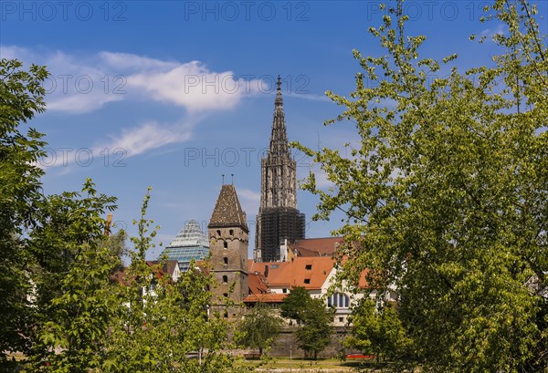 Ulm Cathedral