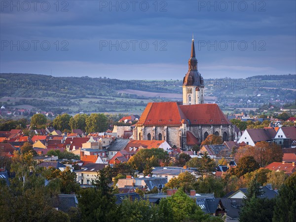 View of the Wenzelskirche in the evening light