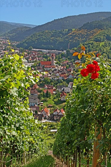 View of Obertsrot and the Sacred Heart Church from the Eberstein Castle Winery