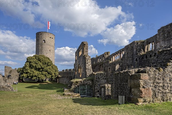 Castle tower eastern keep old lime tree