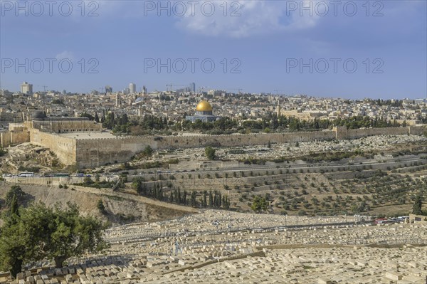 City panorama