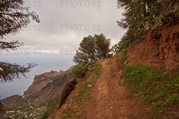 Hiking trail near Arure