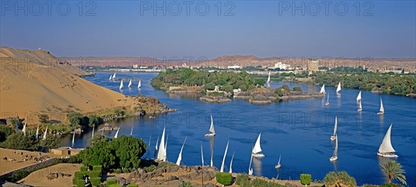 Felucca