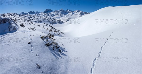 Winter landscape in the snowy Alps