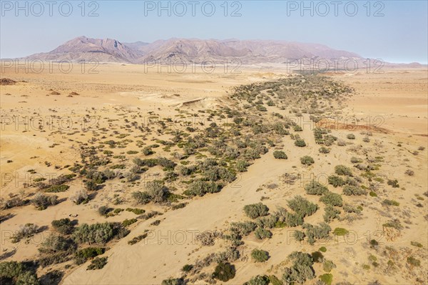 The dry bed of the Ugab river cuts through arid desert plains