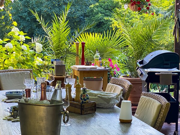 Tropical garden with set table with barbecue station Salt and pepper mill with oil and spices