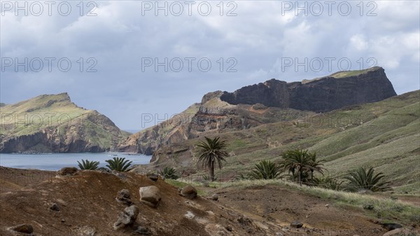 Hiking trail and view