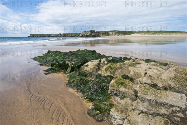 Rocky coast in Pembrokeshire National Park