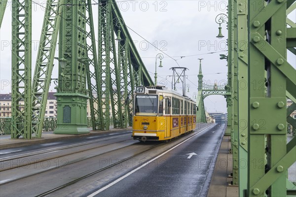 Tram on Freedom Bridge