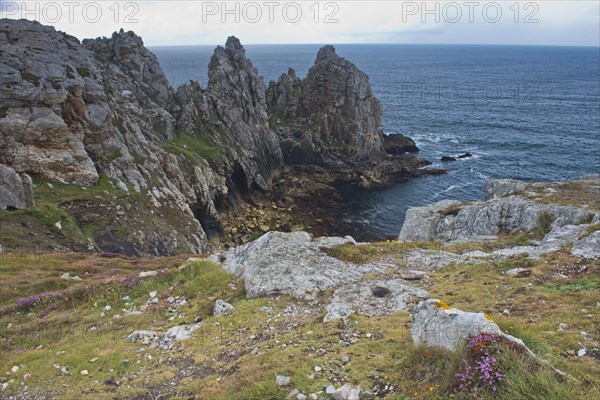 Rocky coast