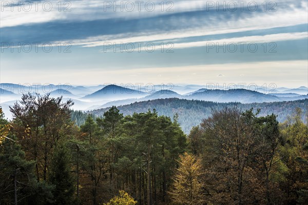 Autumnally coloured forest and mountains