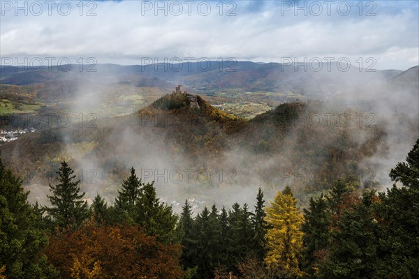 Autumnal coloured forest and mountains