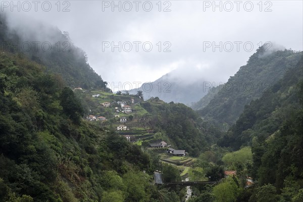 Green gorge with fog near Ribeiro Frio