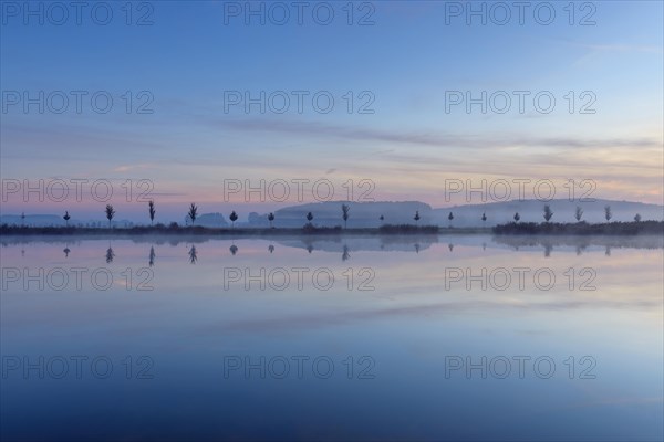 Landscape with Row of Trees Reflecting in Lake at Dawn