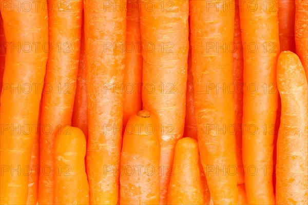 Carrots Carrot Vegetable Background from above