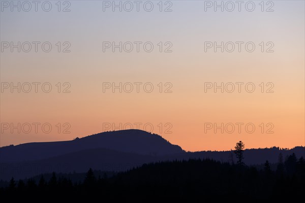 View in the morning light of the Belchen in the Black Forest