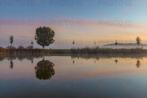 Landscape with Trees Reflecting in Lake at Dawn