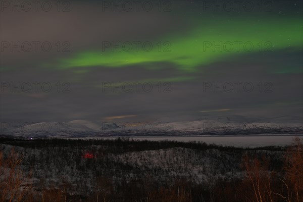 Aurora borealis over snow-covered mountains and birch trees