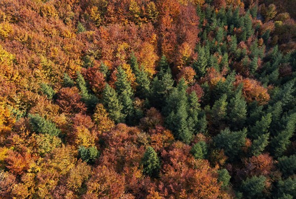 Drone image