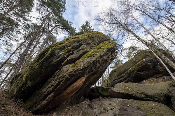 Langenhennersdorf rock labyrinth