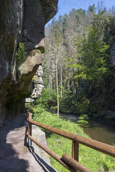 Gallery and rock faces in the Kamenice Valley