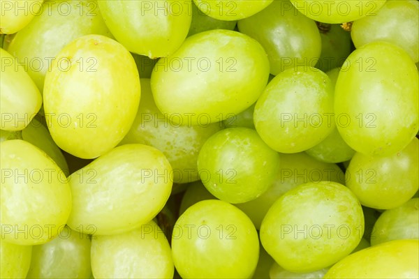 Green Grapes Grape Grape Fruit Fruit Background from above