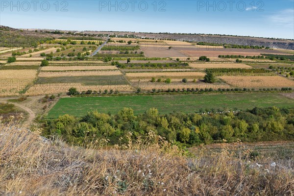 View of fields in Butuceni