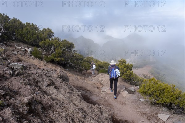 Hikers on trail to the summit of Pico Ruivo