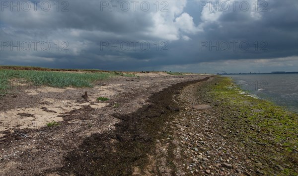 Fauler See-Rustwerder nature reserve on the island of Poel