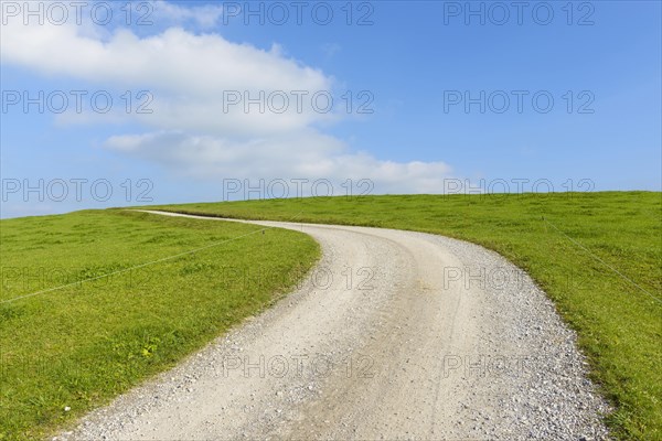 Curvy gravel road