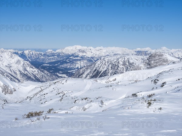 Blue sky over winter landscape