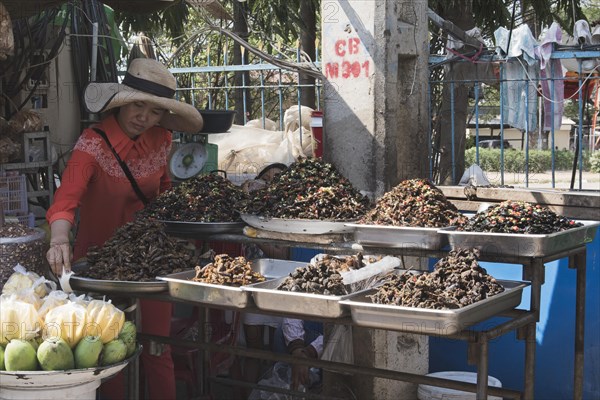 Woman selling roasted insects