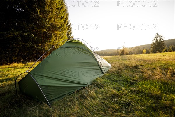 Green tent on a forest meadow in the morning light