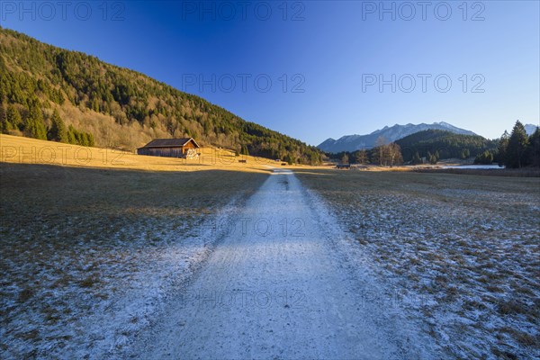 Path with hoarfrost