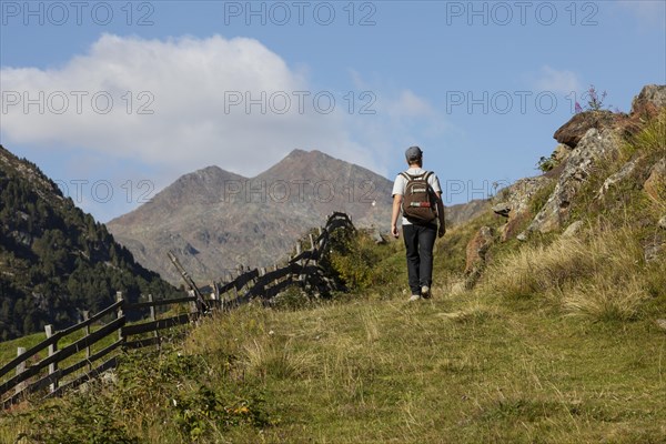 Hikers walking on the alpine pastures in the Rofental