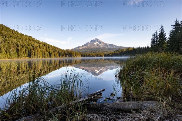 Lake shore