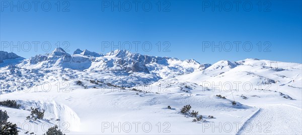 Winter landscape in the snowy Alps