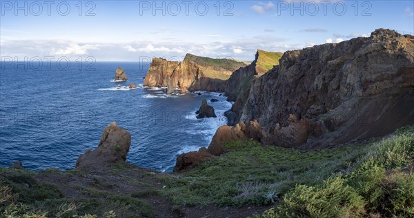 Ponta do Rosto