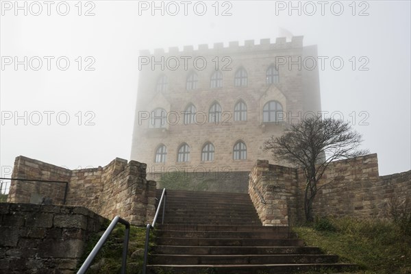 Hambach Castle in the fog
