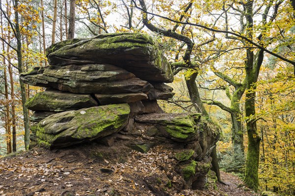 Autumn-coloured forest and sandstone rocks