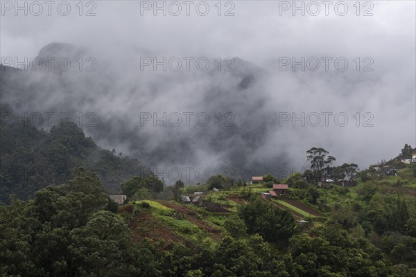 Green gorge with fog near Ribeiro Frio