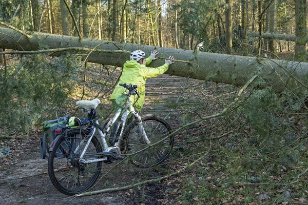 Woman cycling through the forest on an e-bike after a storm