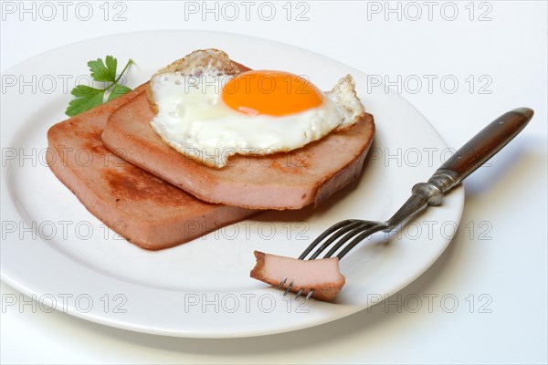 Meat loaf with fried egg