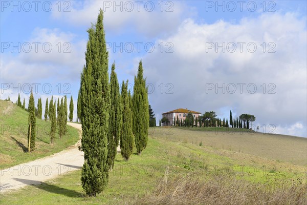 Cypress avenue to on a country house