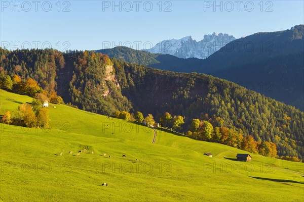 Autumnal mountain landscape