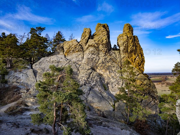 Rock formation Hamburger Wappen