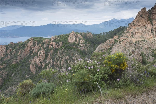 Rocky landscape Calanches de Piana