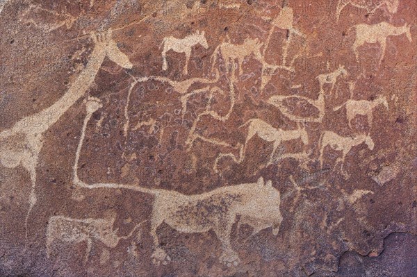 The famous lion panel at the Twyfelfontein rock engravings west of the town of Khorixas