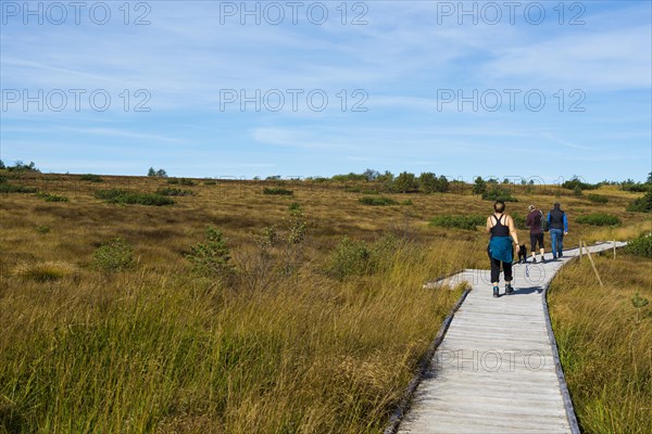 High moor and boardwalk