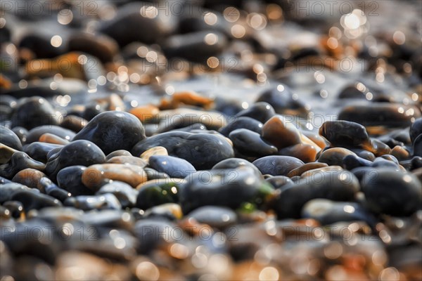 Shiny pebbles on the beach illuminated by the sun